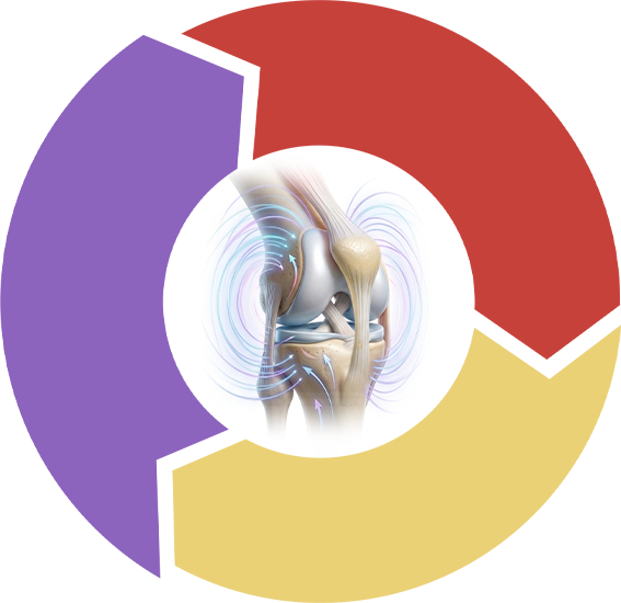 Schemat trzech faz